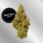 Cherry Slushee | 3.5g