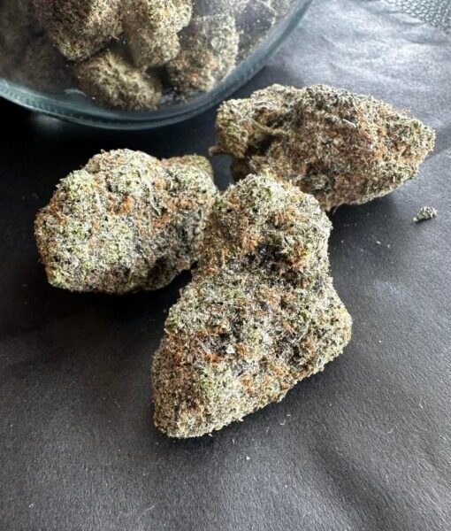 Purple Haze Weed Strain
