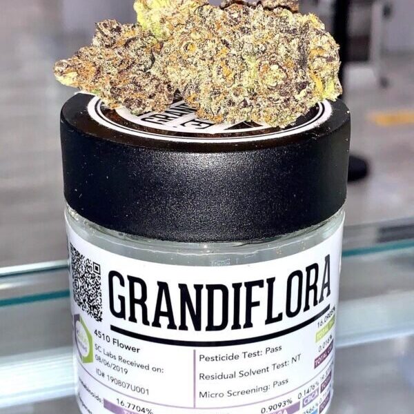 Grandiflora strain