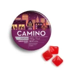 CAMINO SOURS- CHILL GUMMIES- HOLIDAY PUNCH-10MG