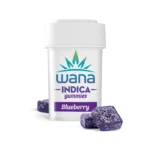 BLUEBERRY (REC) // 1:1 CBD/THC