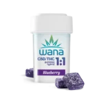 BLUEBERRY (REC) // 1:1 CBD/THC