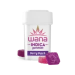 BERRY PATCH (REC) // INDICA