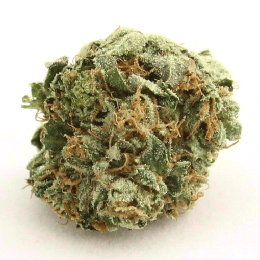 ak-47-strain-510x510-1 AK 47 Strain (AK47 Weed) - Image 1